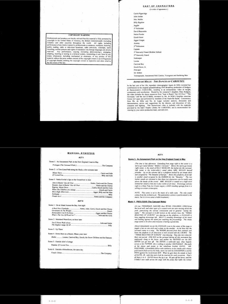 Carousel PDF | PDF