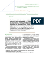 Pla09296 Culantro PDF