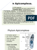 apicomplexaiparcial-121011183543-phpapp01