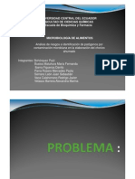 Presentación Proyecto en pdf