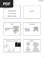 Aula 05 - Quadril e Joelho(1).pdf