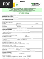 Aclaraciones y Anexos Del Modelo de Informe Social | PDF | Violencia ...