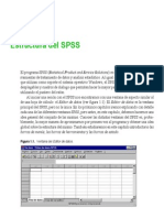  Estructura Del Spss Manual