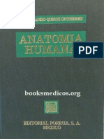 Anatomia Humana