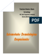 Dermatosis Ocupacional Unmsm PDF