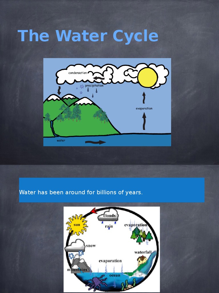 Water Cycle Explained for Kids | PDF | Social Science