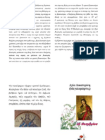 Η Αγία Αικατερίνη PDF