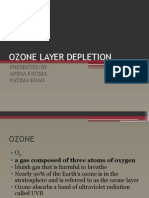 Ozone Layer Depletion