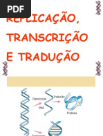 REPLICAÇÃO, TRANSCRIÇÃO  E TRADUÇÃO.pptx