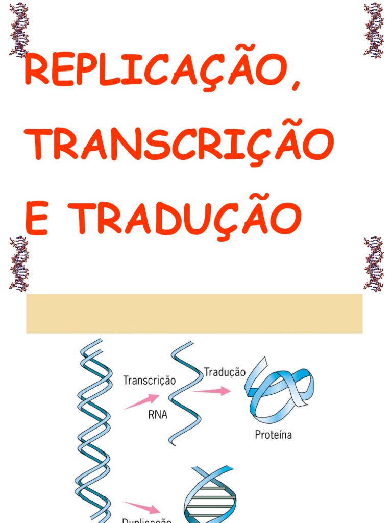 Resumos de Biologia: TRANSCRIÇÃO: A SÍNTESE DO RNA, image size:768x1024