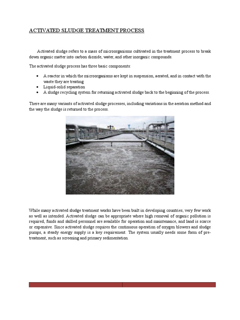 ACTIVATED SLUDGE TREATMENT PROCESS.docx | Sewage Treatment | Environmental Engineering