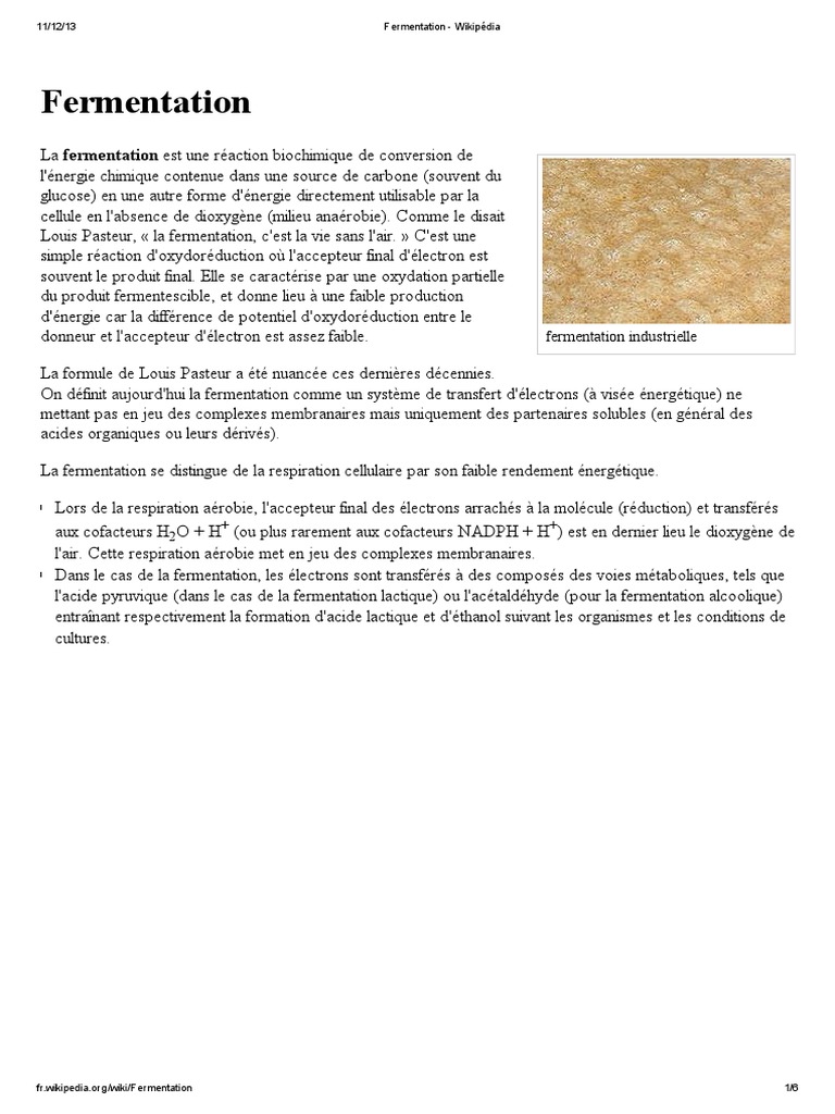 Fermentation | PDF | Fermentation | Métabolisme