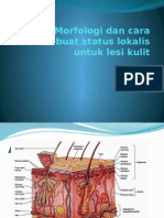 Morfologi Dan Cara Membuat Status Lokalis Untuk Lesi Kulit