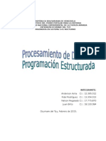 Procesamiento de Datos y Programacion Estructurada