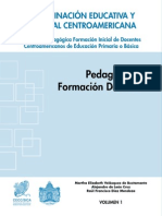 Pedagogía y formación docente