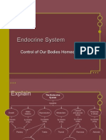 endocrine system feedback systems
