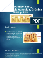 Presentacion Periodonto Clasificaciones