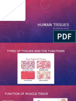 Human Tissues1