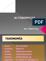 Actinomyces sp. taxonomía, características y patologías