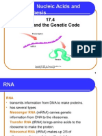 Chapter 17 Nucleic Acids and Protein Synthesis: 17.4 RNA and The Genetic Code