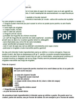 Retete-Raw-Vegan.pdf