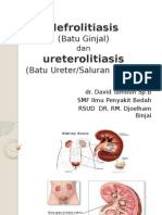 53015333-Nefrolitiasis-ureterolitiasis