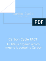 Carbon Cycle: - Book E PG 50 51