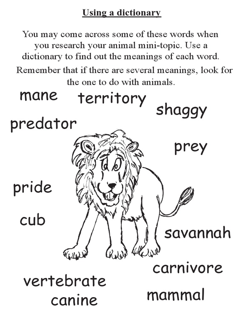 Mane Shaggy Prey Predator Territory: Using A Dictionary | PDF