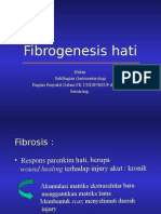 Fibrogenesis Hati