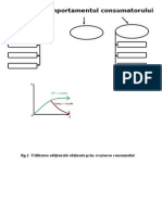 Comportamentul Consumatorului