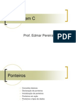 532954-LP-Ponteiros.pdf
