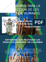 Mecanismos para La Proteccion de Los Derechos Humanos