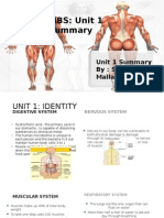 Unit 1 Summary