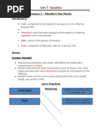 Unit+7+study+guide Answers