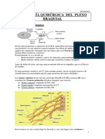 Patologia plexo braquial