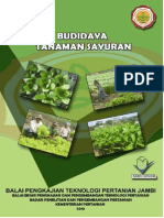 budidaya-tanaman-sayuran