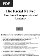 Download Facial Nerveppt by Mdecin Adrian TG SN260174643 doc pdf