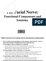 Facial Nerve.ppt