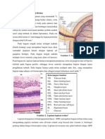 Anatomi Dan Histologi Retina