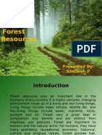 Forest Resources