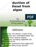 Bio Diesel Production