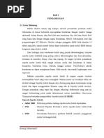 Download PENGEMBANGAN SEPEDA LISTRIK TENAGA SURYA inovasidoc by Mual Alim SN260205258 doc pdf