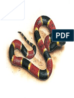 Coral Snake.pdf