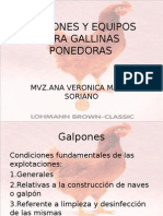 Galponesyequiposparagallinasponedoras 100920173539 Phpapp01 (1)