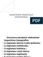 Anatomia Peretelui Abdominal