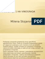 Podizanje 1 Ha Vinograda Prezentacija Milena Stojanović