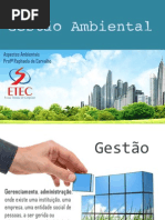 Gestão Ambiental