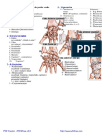 Punho e Mão - Cinesiologia PDF