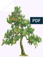 Bonsai.pdf