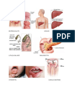 Bolile Sistemului Digestiv Plansa